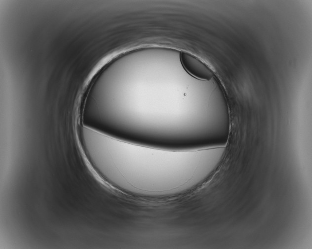 X0000085311523200703091043