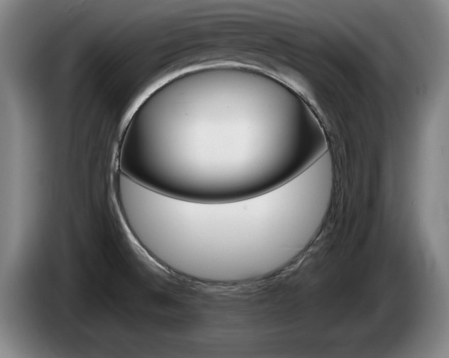X0000085311524200703091043
