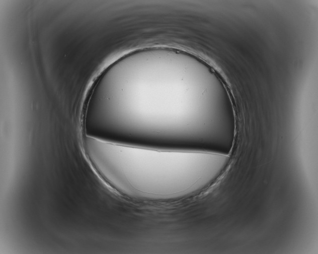 X0000085311525200703091043