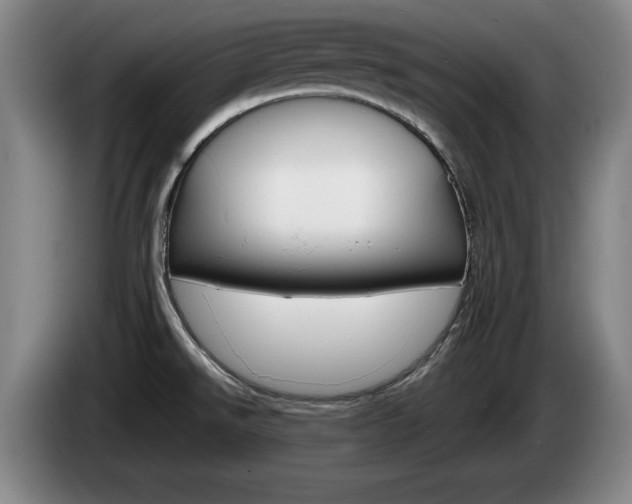 X0000085311526200703091043