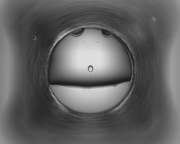 X0000085311529200703091043