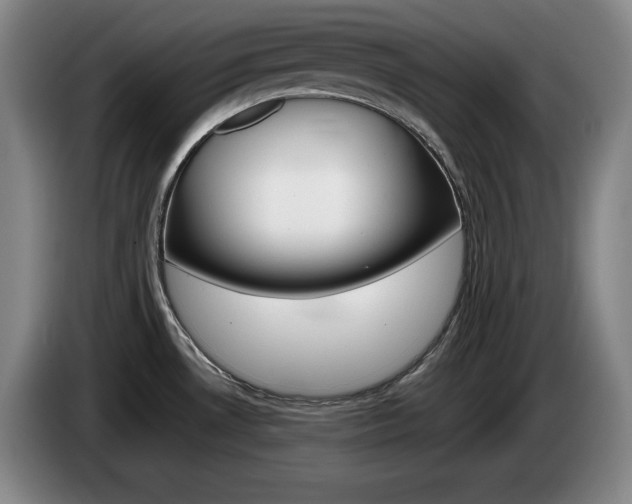 X0000085311530200703091043