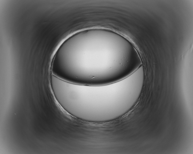 X0000085311532200703091043