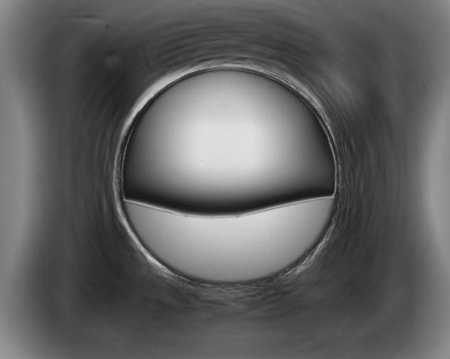 X0000085311533200703091043