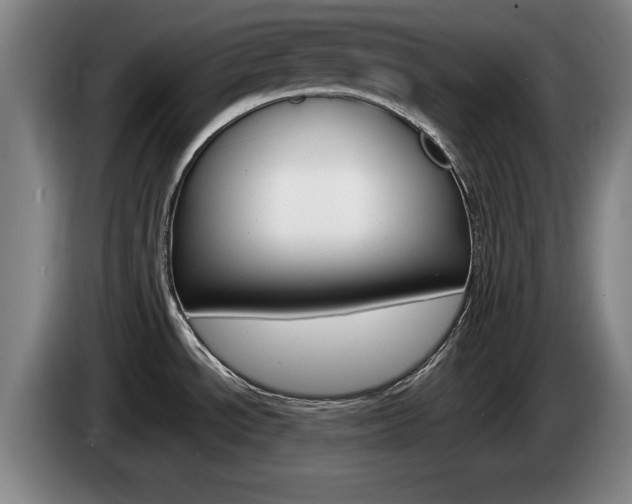 X0000085311534200703091043