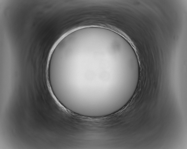 X0000085311536200703091043