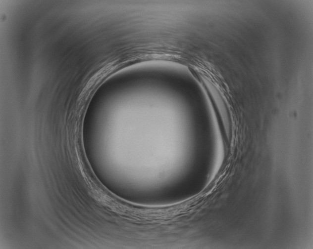 X0000085310001200703091458