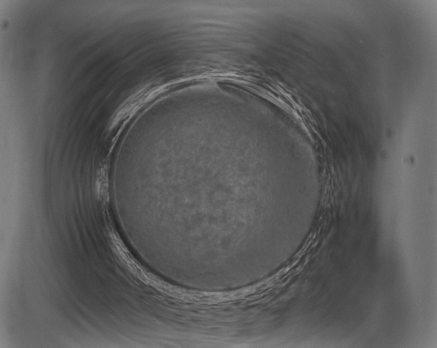 X0000085310002200703091458