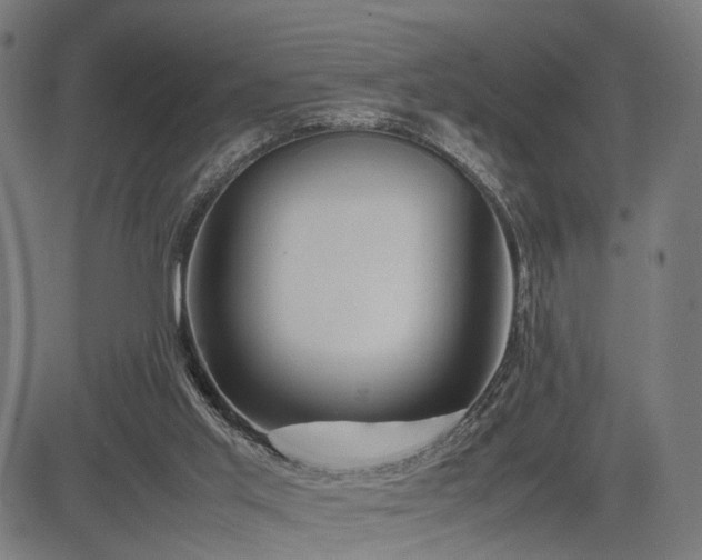 X0000085310013200703091457