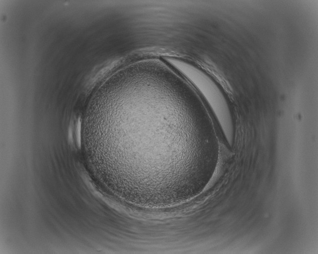 X0000085310014200703091457