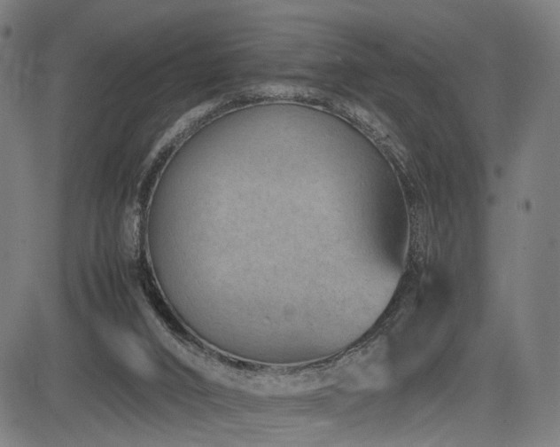 X0000085310016200703091457