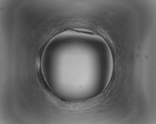 X0000085310021200703091457
