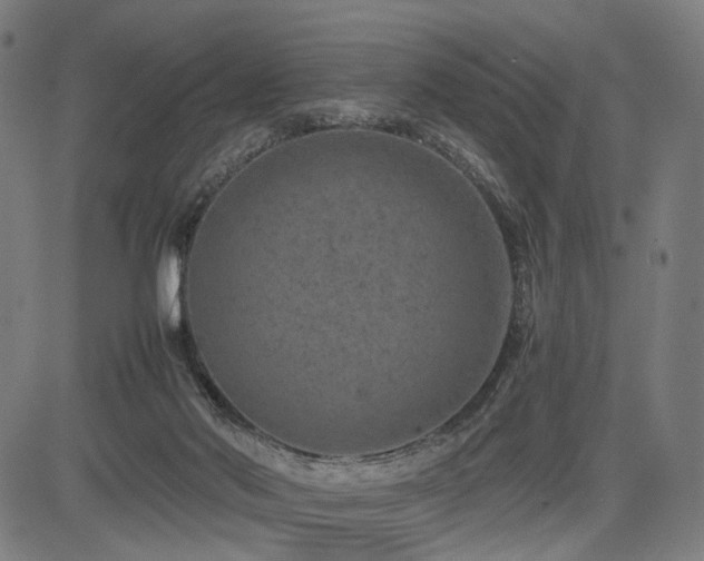 X0000085310022200703091457
