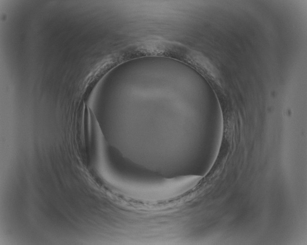 X0000085310023200703091457