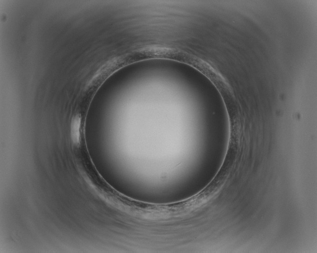X0000085310024200703091457