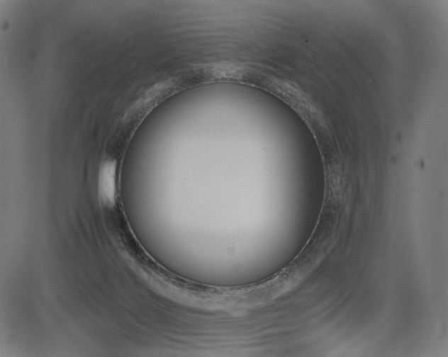 X0000085310028200703091457