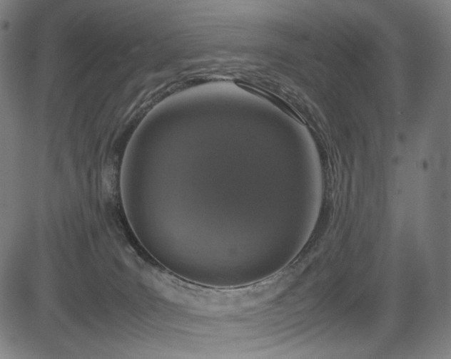 X0000085310035200703091457