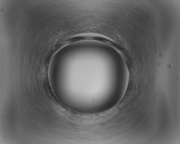 X0000085310037200703091457