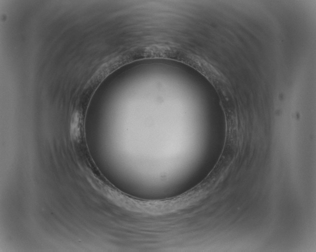 X0000085310038200703091457