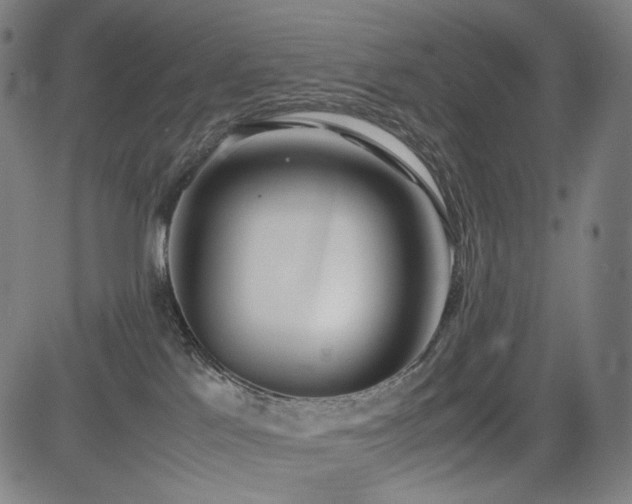 X0000085310041200703091457