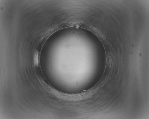 X0000085310042200703091457