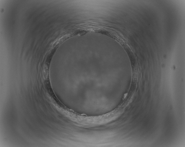 X0000085310043200703091457