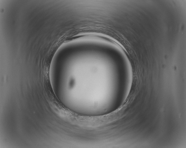X0000085310045200703091457