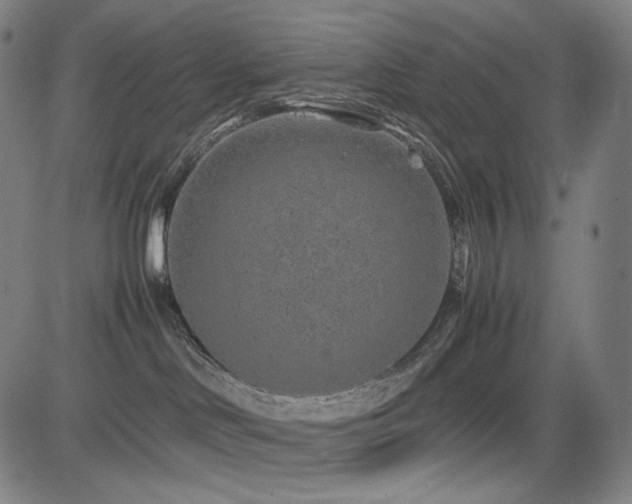 X0000085310046200703091457