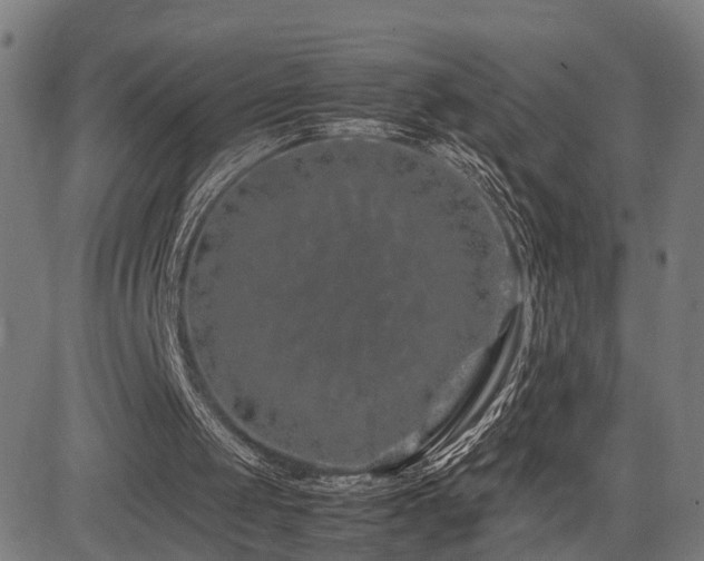 X0000085310049200703091456