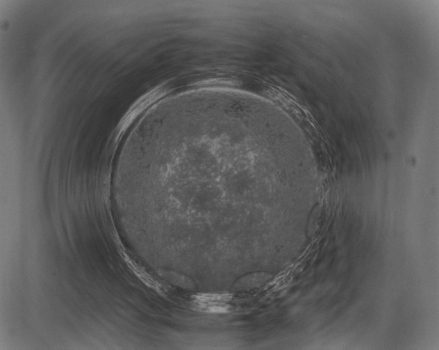 X0000085310051200703091456