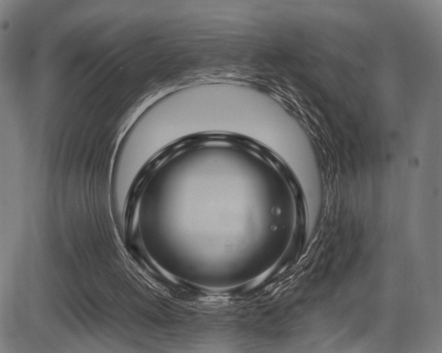 X0000085310052200703091456