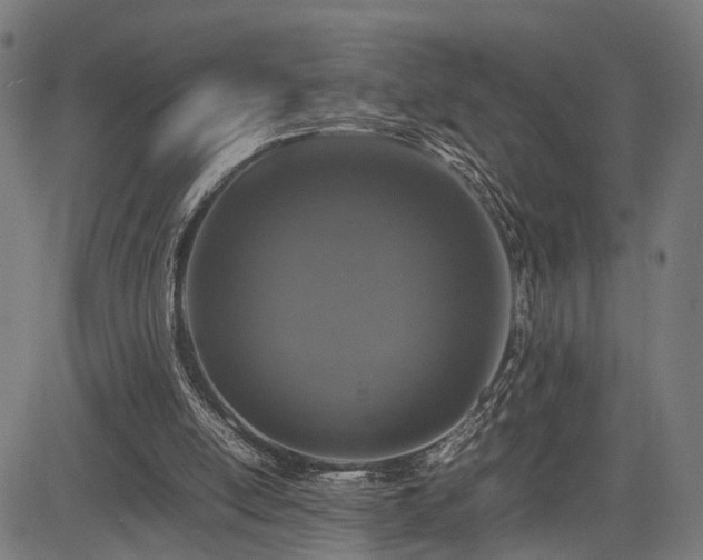 X0000085310054200703091456