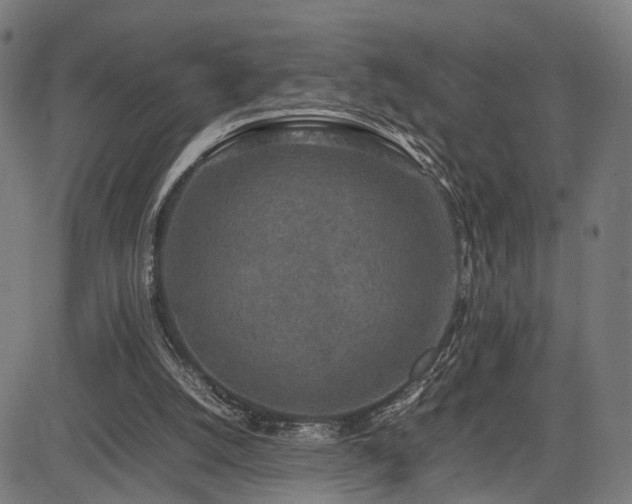 X0000085310056200703091456