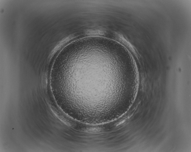 X0000085310059200703091456