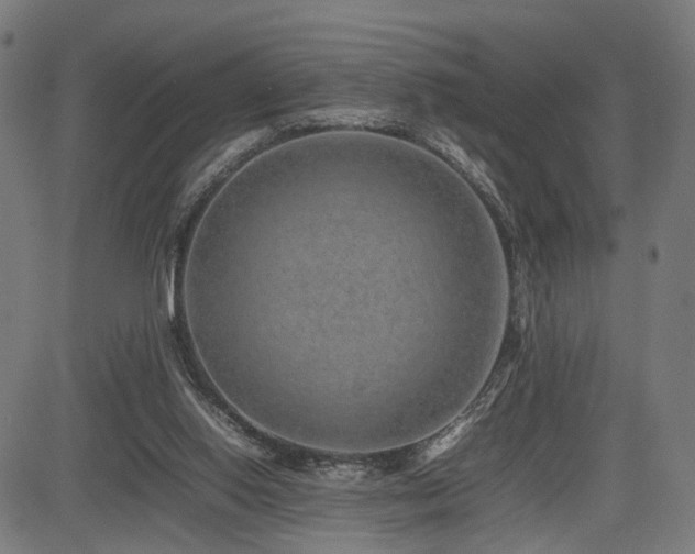 X0000085310062200703091456