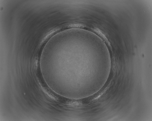 X0000085310063200703091456