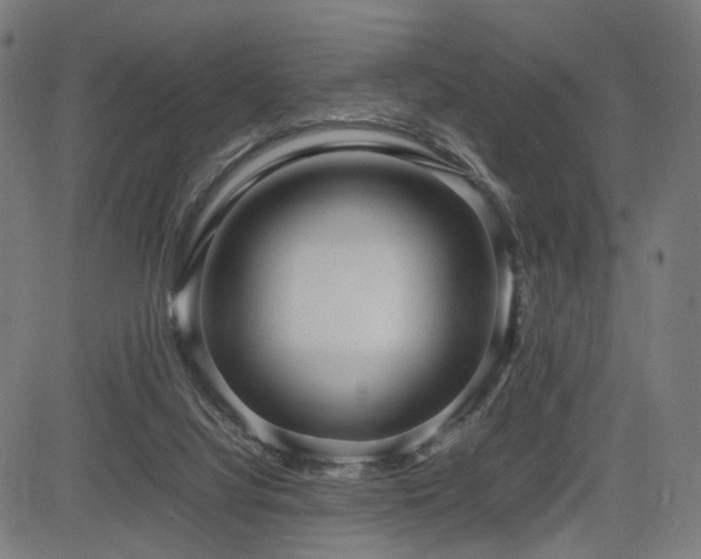 X0000085310068200703091456