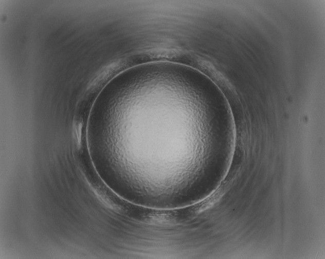 X0000085310070200703091456