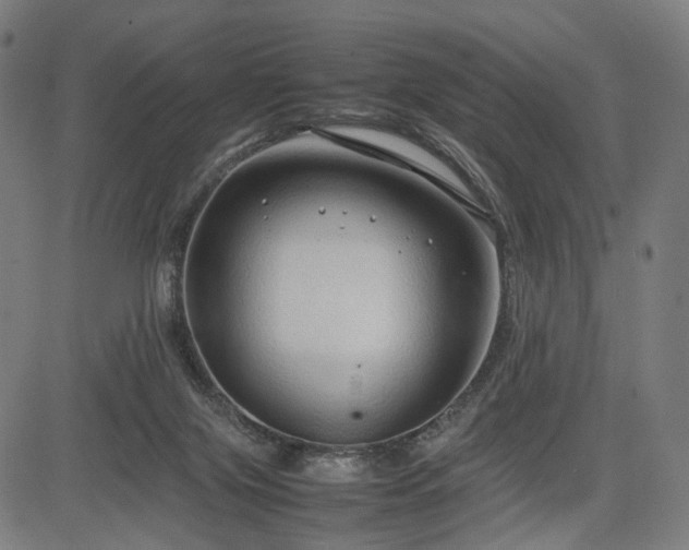 X0000085310071200703091456