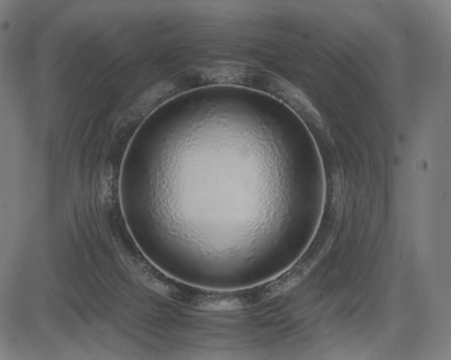 X0000085310073200703091456