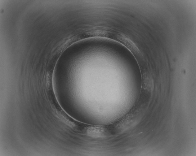 X0000085310077200703091456