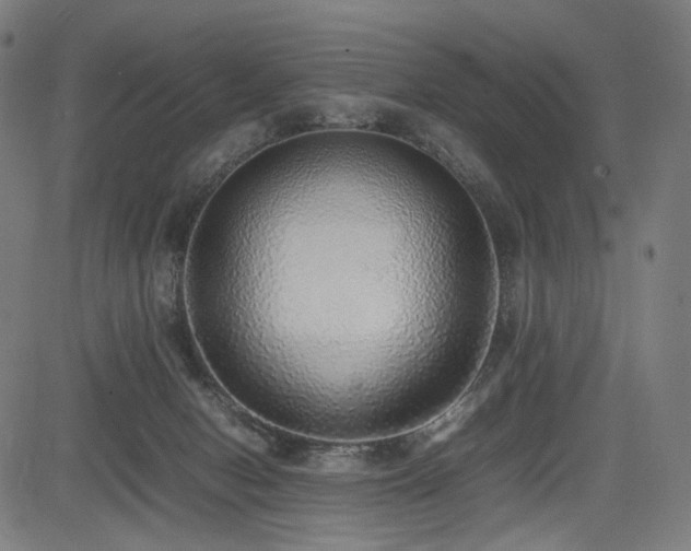 X0000085310078200703091456