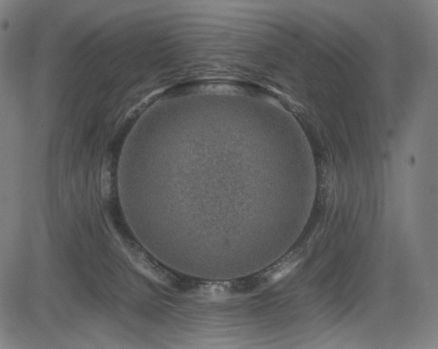 X0000085310080200703091456