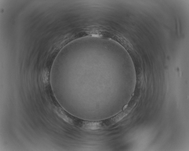 X0000085310081200703091456