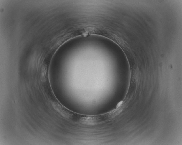 X0000085310082200703091456