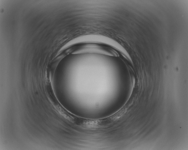 X0000085310084200703091457