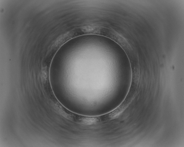 X0000085310085200703091457