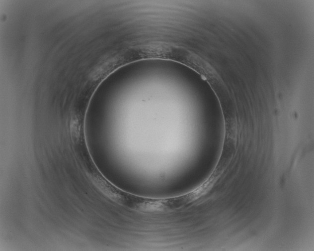 X0000085310086200703091457