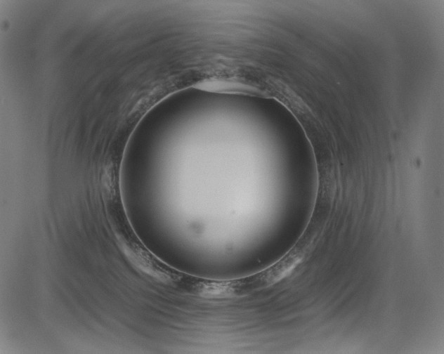 X0000085310088200703091457