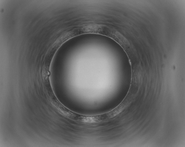 X0000085310091200703091457